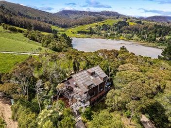 Sunny 4-Bedroom Treetop Home - Still Available!