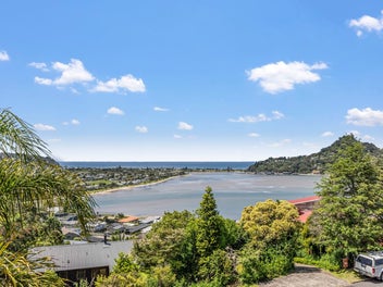 Elevated views - SO MUCH HOUSE!