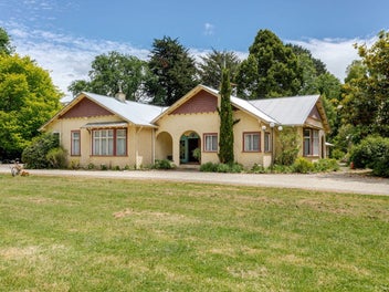 Image 1 of 36