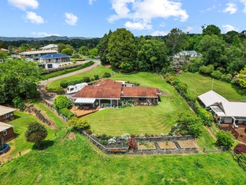 Don't Miss This Piopio Gem