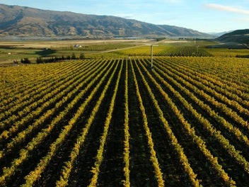 Award-Winning Wines, Endless Possibilities