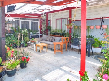 Green thumb on Brown Street