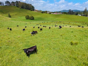 Farmers, Lifestyle Seekers & Land Bankers!