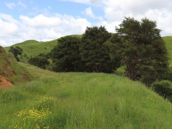 No covenants - Lifestyle Section