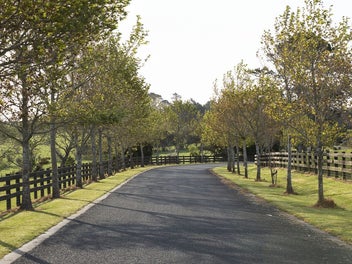 Te Arai Estate
