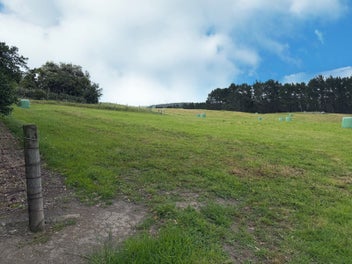 Ready to Go - Section