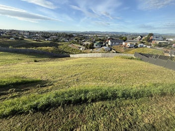 Thinking of building?