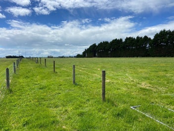 Opportunity on Orion