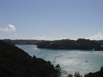 Large Building Site - Established Area