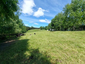 RARE COASTAL LIFESTYLE BLOCK