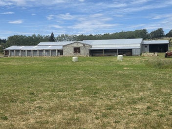 Desirable Lifestyle Block