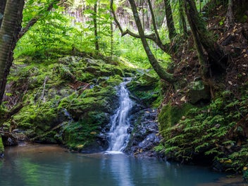 A Modern Bush Retreat Above Parua Bay