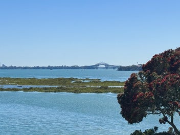 Waterfront dual title home $750k below Reg Val