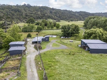 Large Handy Lifestyle