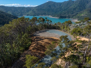 Where forest meets the sky and the bay