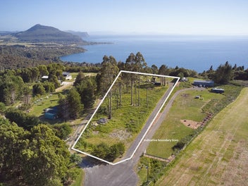 8830m² Lifestyle Dream... be quick Kuratau