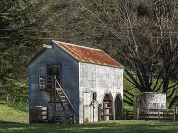 Looking For A Home For A Large Family, Horses & Ho