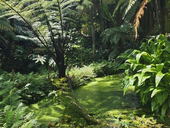 A New Chapter Begins, You Write The Rest!