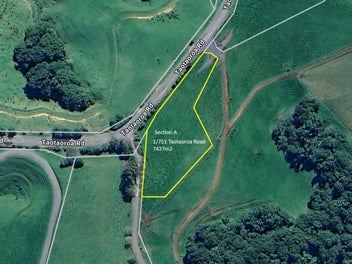 Panoramic Perfection: Premium Lifestyle Sections