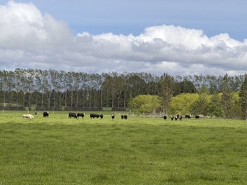 Image 1 of 24