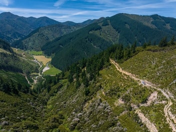 Price Reduced - Karearea's Nest Awaits