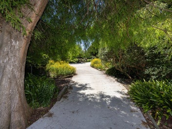 The Good Life Returns in Raumati Beach