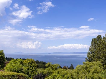 Blank Canvas on Kamahi