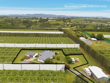 Escape, embellish and enjoy!