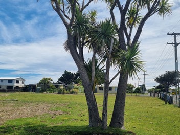 IS COLAC BAY CALLING?