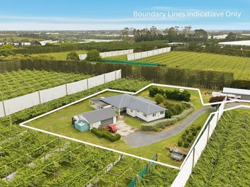 Escape, embellish and enjoy!