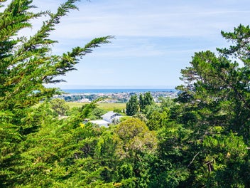 Warning: You May Never Want to Leave Home