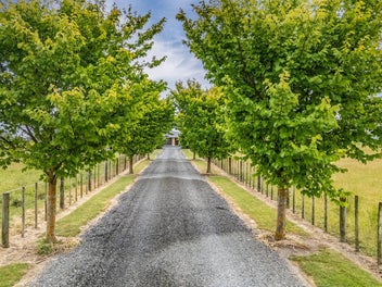 Central Wairarapa Lifestyle in Carters Line