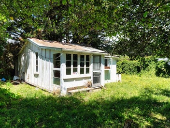 Calling All Buyers - Vendor Says Sell! | AUCTION