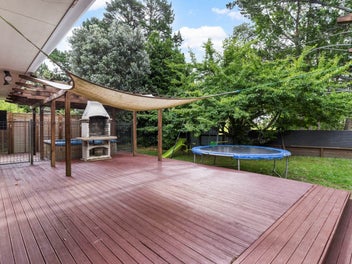 Space, School & Serenity!