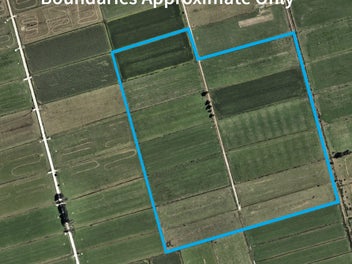 Pure Potential, Ready For Its Next Chapter