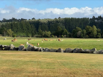 Room to Breathe, Without the Work - 2114m2