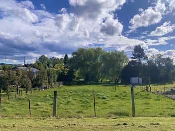 Waikouaiti Section