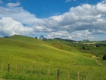 15ha Bay of Islands Grazing/Lifestyle Block