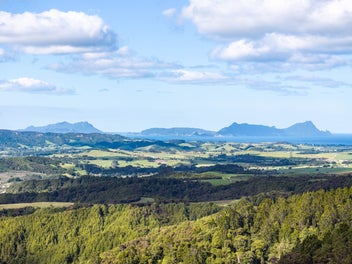 "FIRE SALE" - Vendor Health Issues