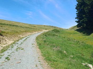 All The Way Up To The Skyline