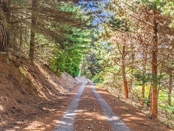 Elevated Premium Land Opposite Te Awa Road