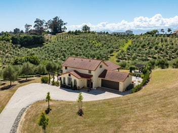 Tuscan-Inspired Sanctuary Amidst Olive Groves
