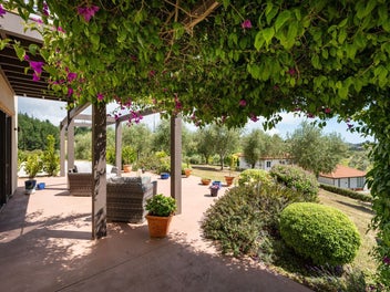 Tuscan-Inspired Sanctuary Amidst Olive Groves