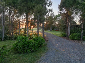 Build Your Dreams Here!