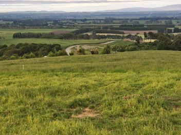 Spread your wings and prepare to fly!