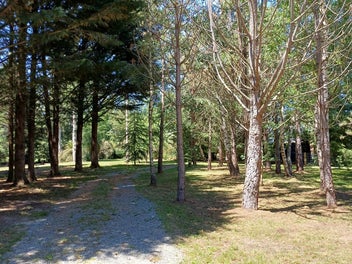 In A Park-Like Setting