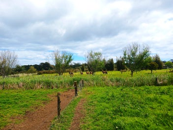 Bursting With Potential In Awanui!