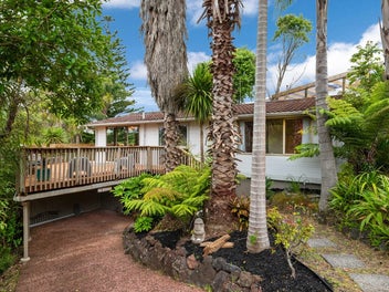 Opportunity & Potential