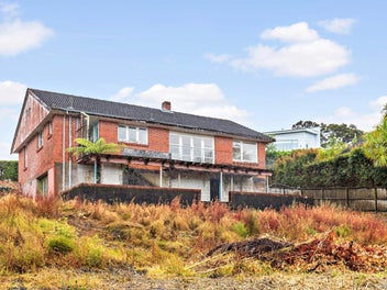 Rare as Moa Sighting