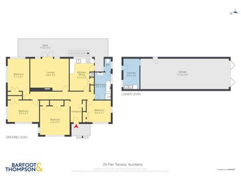 Rare as Moa Sighting